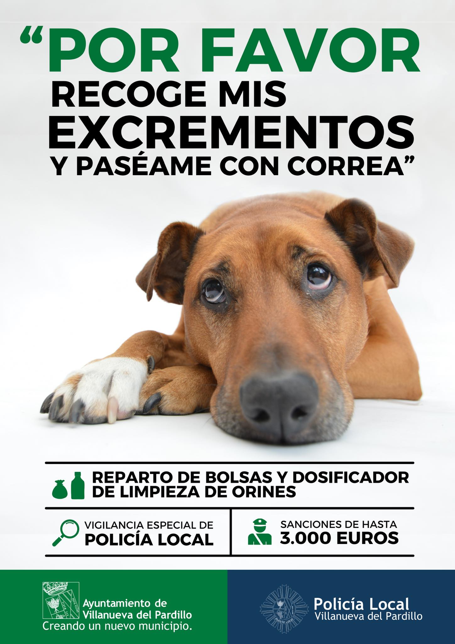 Campaña de vigilancia y concienciación contra los excrementos de caninos y obligatoriedad de uso de correa en Villanueva del Pardillo