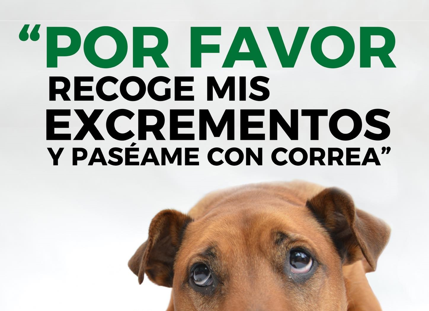 Campaña de vigilancia y concienciación contra los excrementos de caninos y obligatoriedad de uso de correa en Villanueva del Pardillo