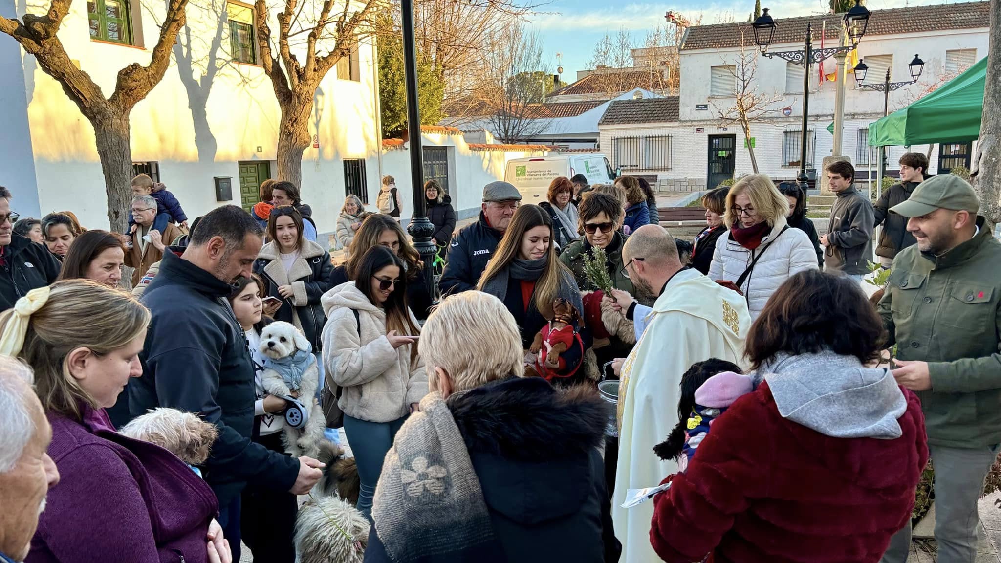 Gran acogida de San Antón en Villanueva del Pardillo